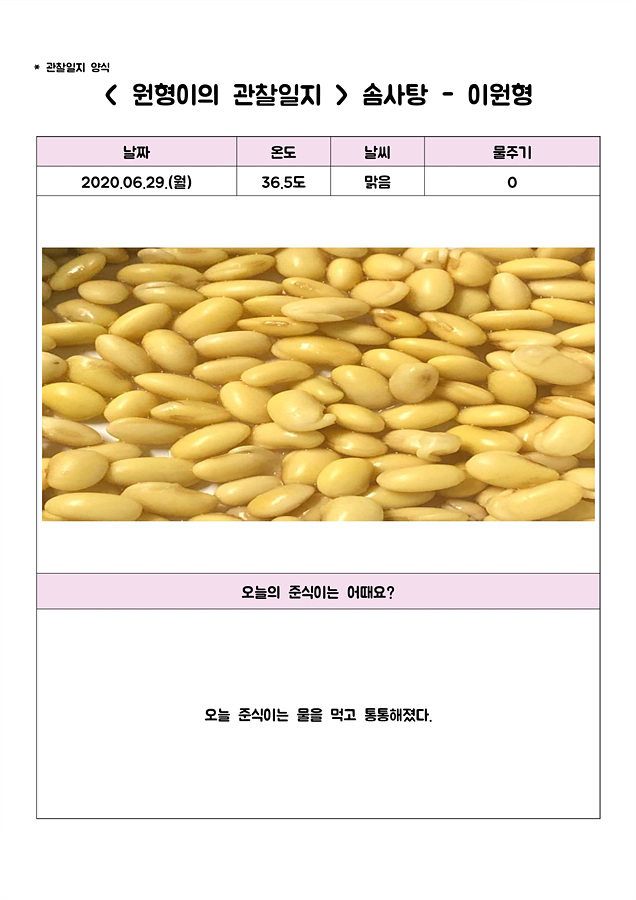 [비대면 활동 프로그램] 그린 메이트(Green Mate)